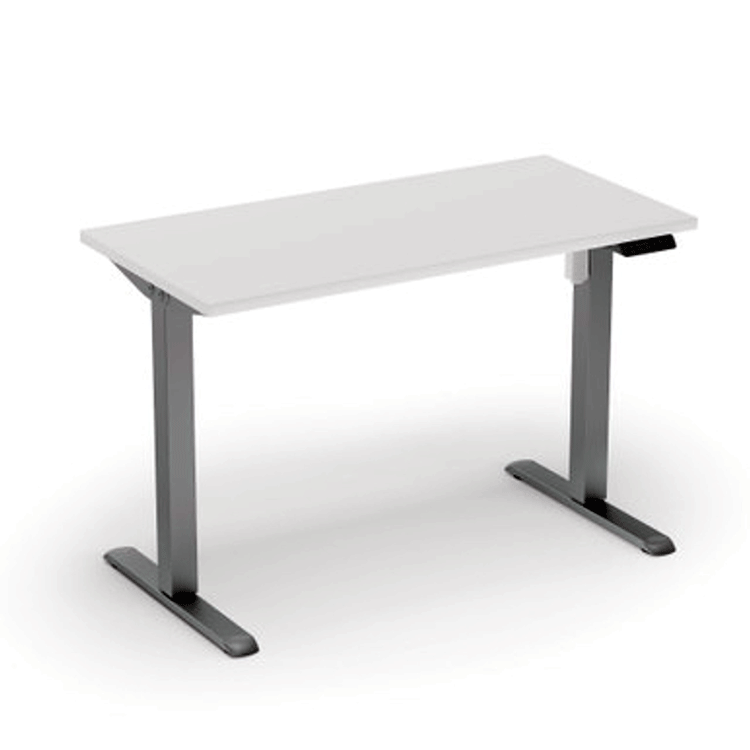 Adjustable Sit-to-Stand Desk