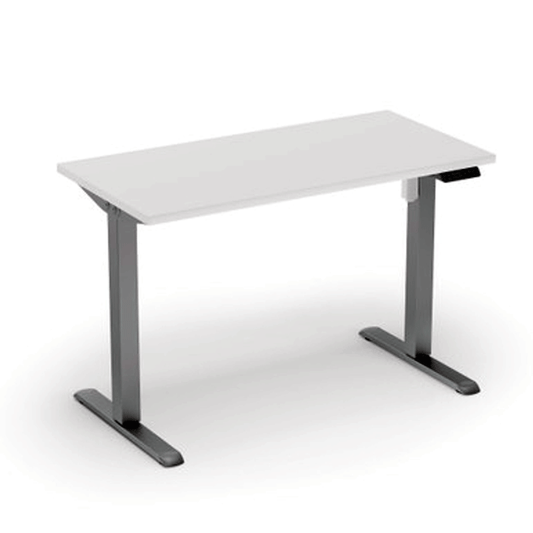 Adjustable Sit-to-Stand Desk